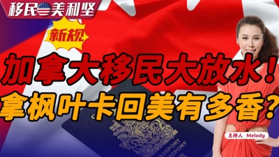 加拿大移民大放水！拿枫叶卡回美有多香？