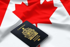 深度拆解C-12法案：加拿大移民门槛是升是降？一文看懂核心走向