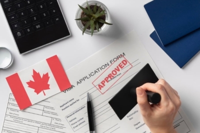 加拿大移民局换帅+削减名额！申请人如何抓住低分红利